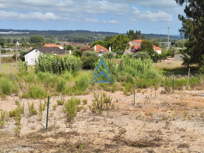 Terreno para Venda em Pelariga Foto 18