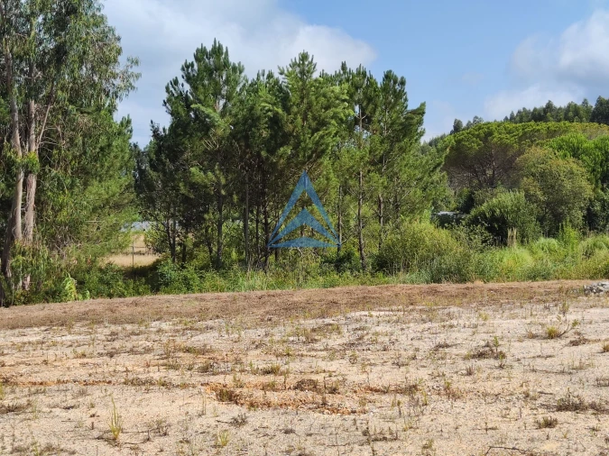 Terreno para Venda em Pelariga Foto 19