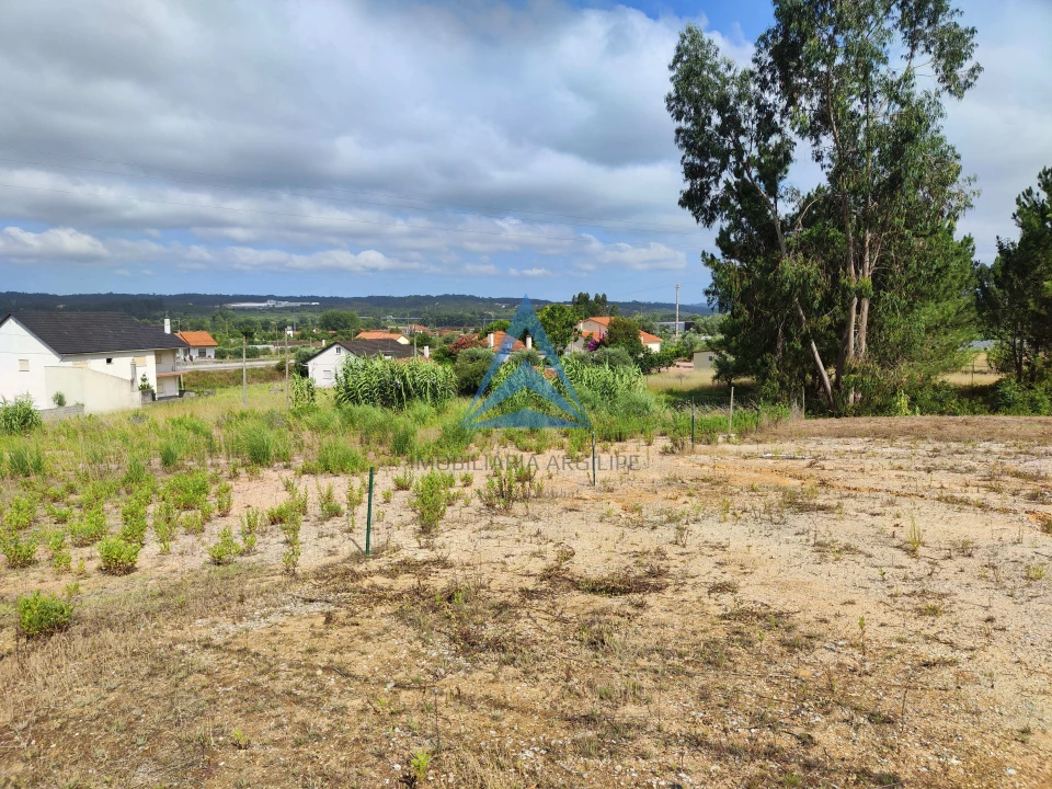 Terreno para Venda em Pelariga Foto 12