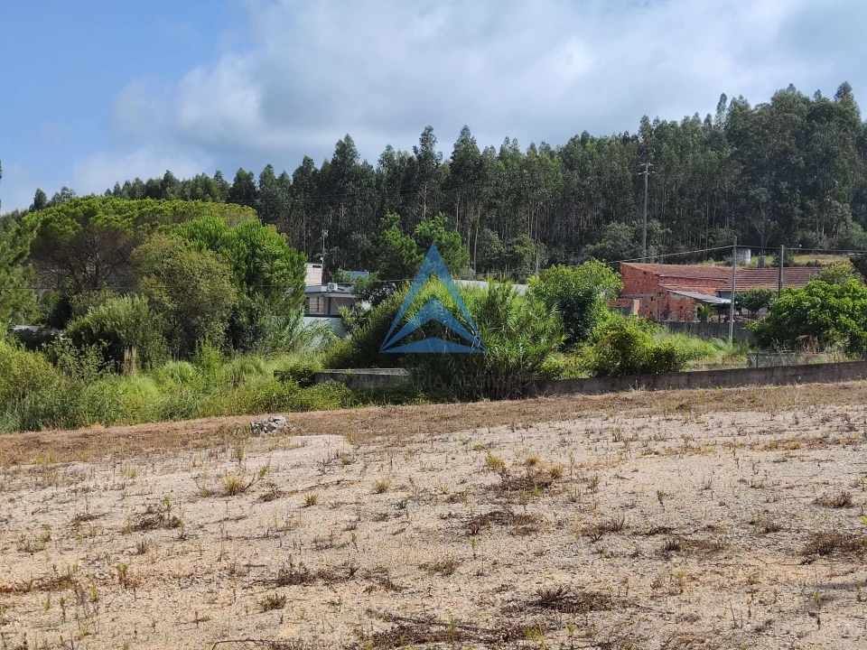 Terreno para Venda em Pelariga Foto 20
