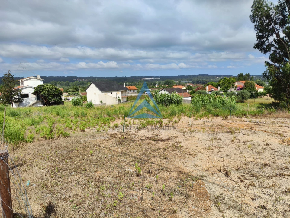 Terreno para Venda em Pelariga Foto 20