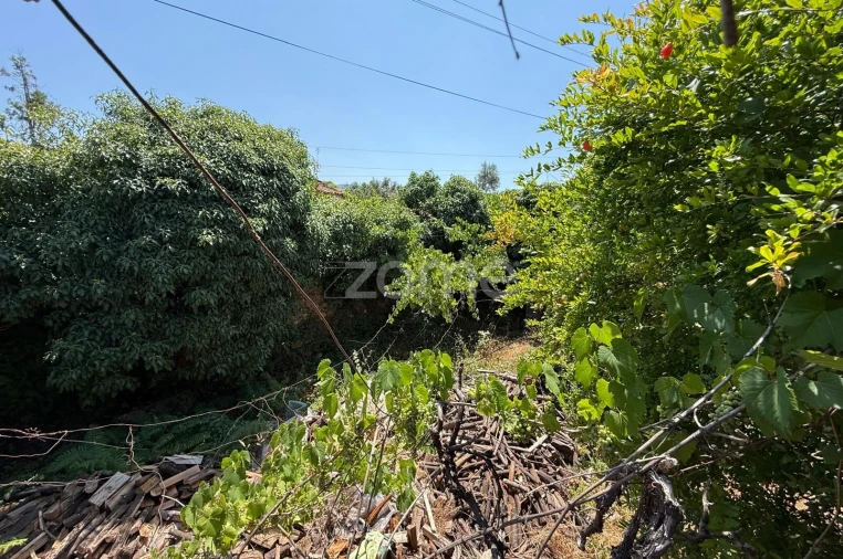 Moradia T3 para Venda em Lousã e Vilarinho Foto 17