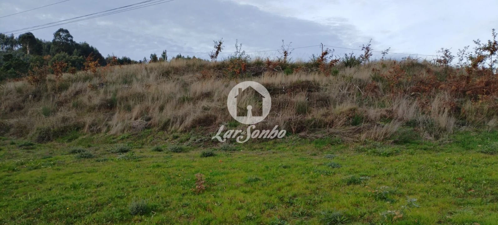 Terreno para Venda em Vale de Bouro Foto 5