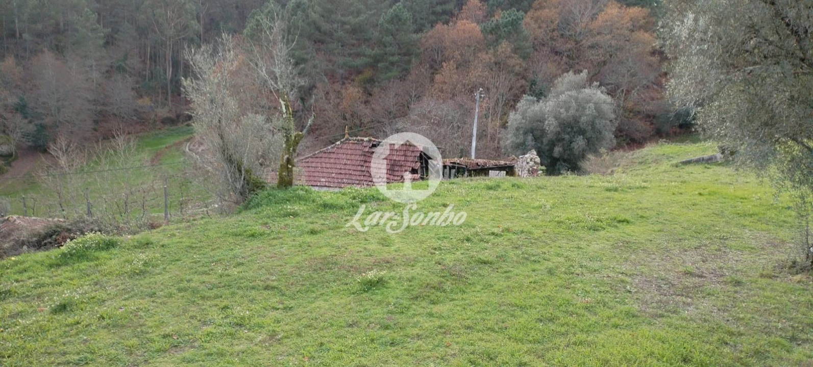 Terreno para Venda em Vale de Bouro Foto 7
