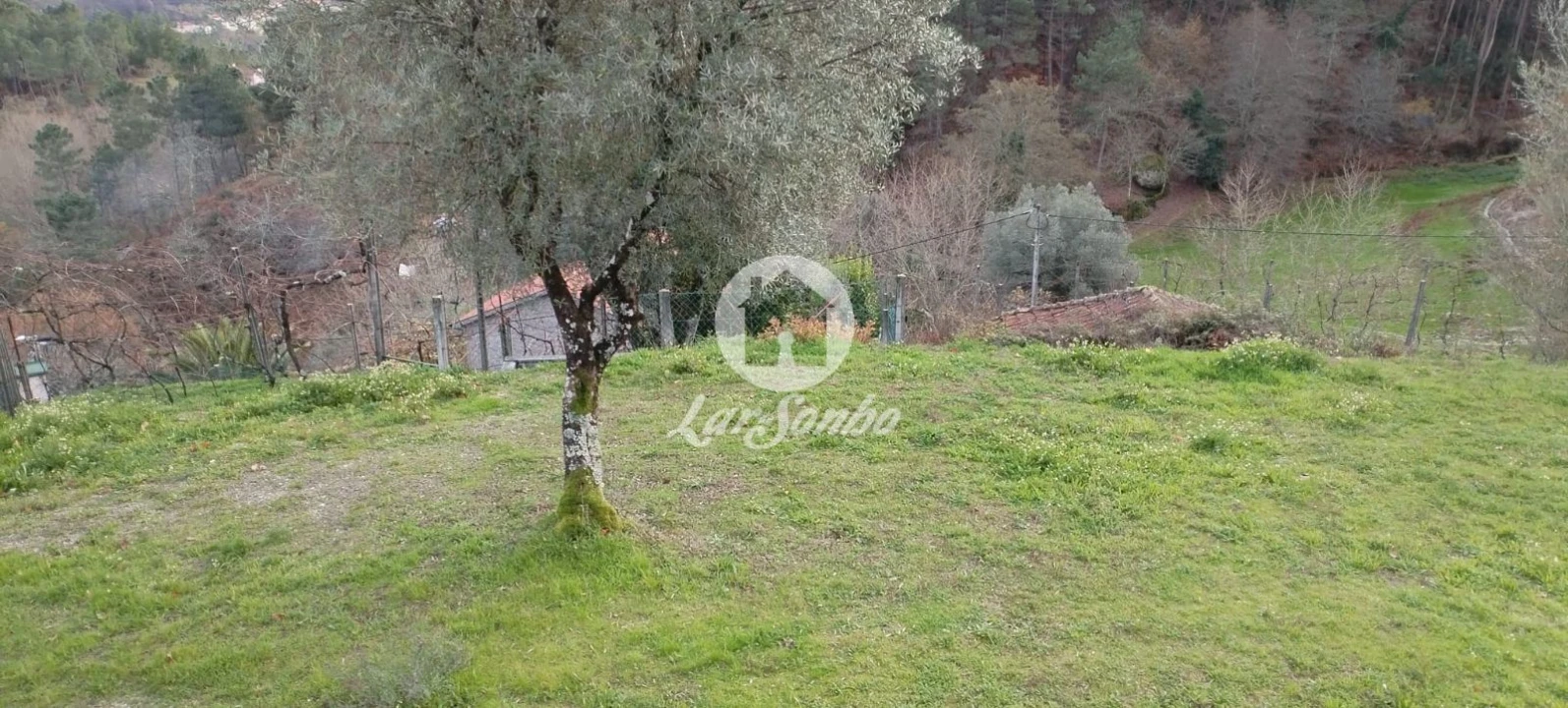 Terreno para Venda em Vale de Bouro Foto 8