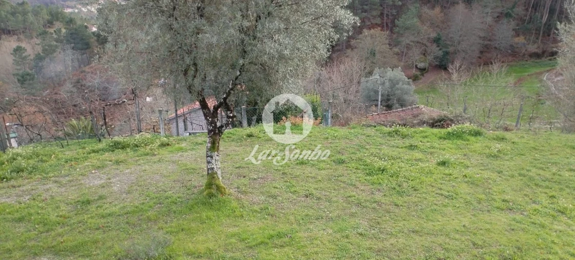 Terreno para Venda em Vale de Bouro Foto 8