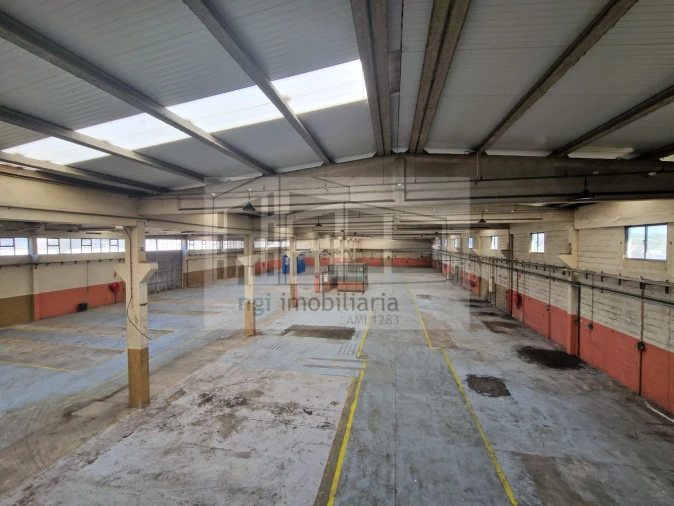 Loja para Venda em Barcarena Foto 1