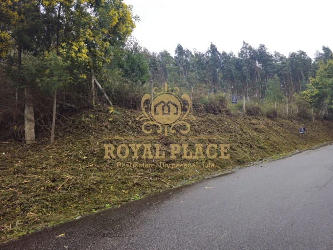 Terreno para Venda em Santa Maria de Sardoura Foto 5