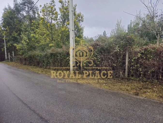 Terreno para Venda em Santa Maria de Sardoura Foto 7