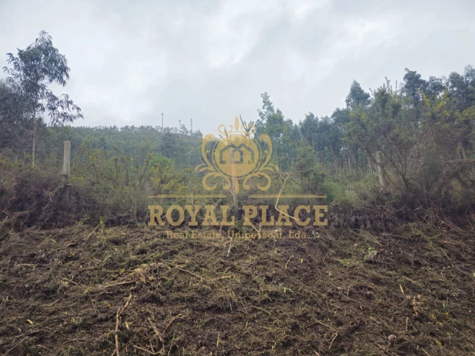 Terreno para Venda em Santa Maria de Sardoura Foto 10