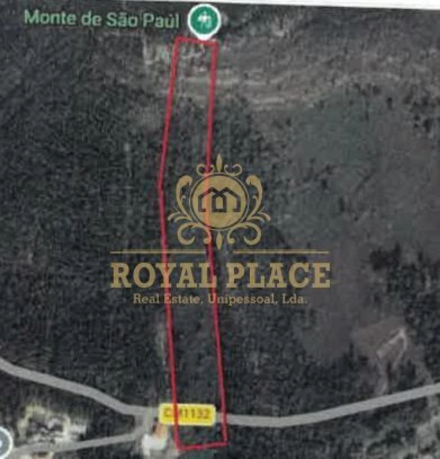 Terreno para Venda em Santa Maria de Sardoura Foto 2