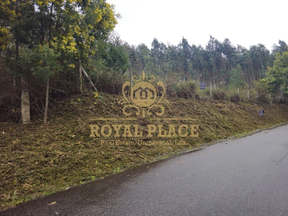 Terreno para Venda em Santa Maria de Sardoura Foto 5