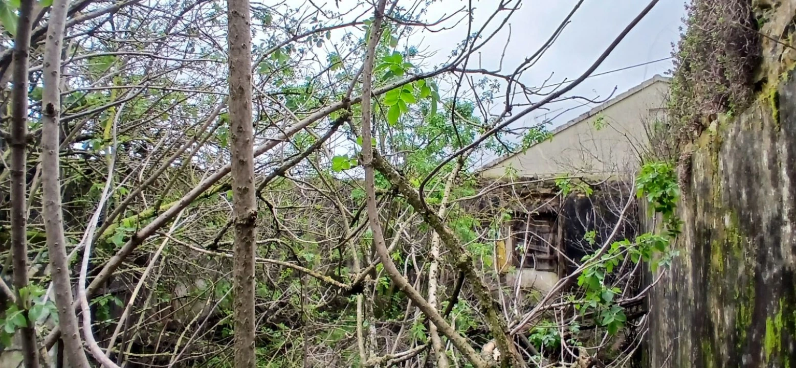 Moradia T2 para Venda em Assentiz Foto 7