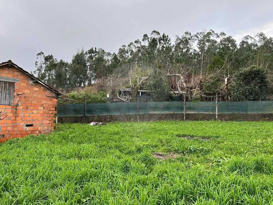 Moradia T2 para Venda em Canedo, Vale e Vila Maior Foto 23