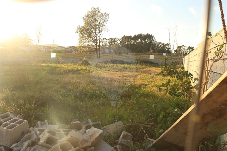 Terreno para Venda em Avidos e Lagoa Foto 3