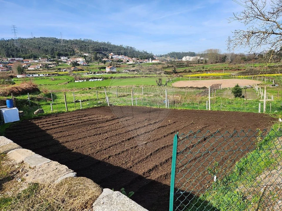 Terreno para Venda em Paredes Foto 2