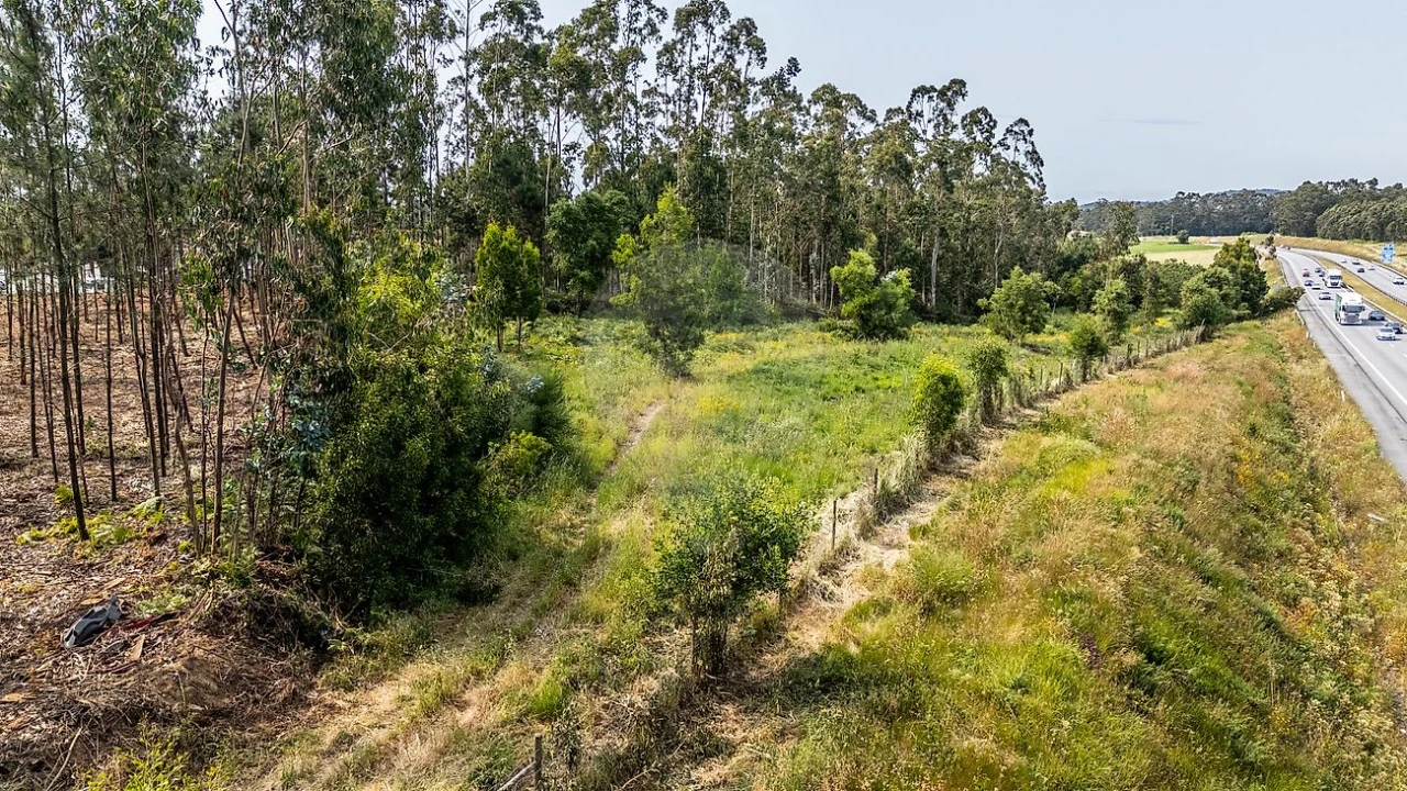 Terreno para Venda em Retorta e Tougues Foto 7