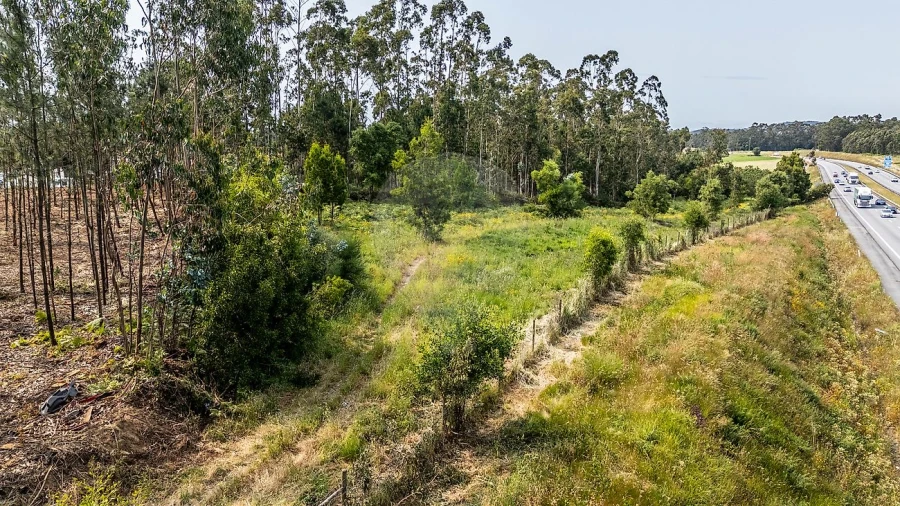 Terreno para Venda em Retorta e Tougues Foto 7