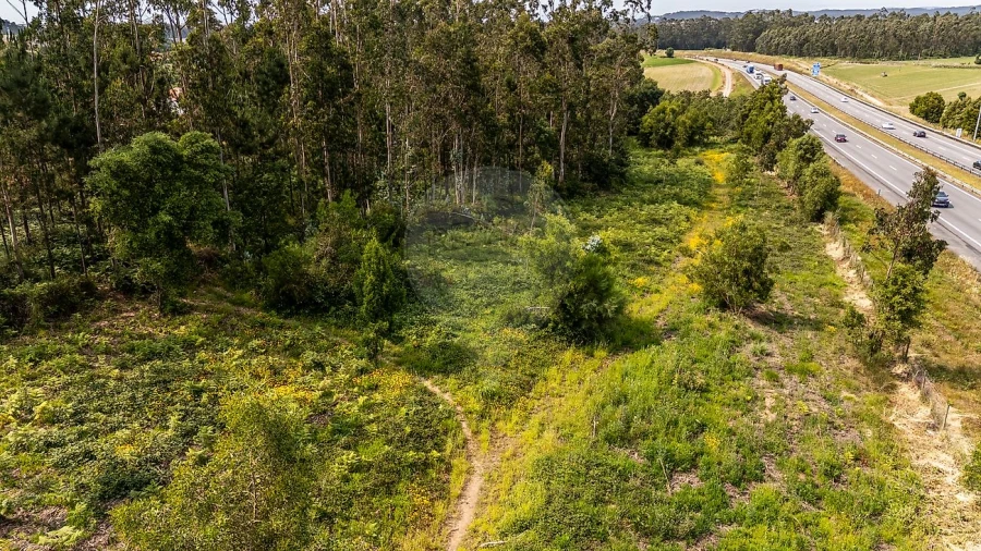 Terreno para Venda em Retorta e Tougues Foto 6