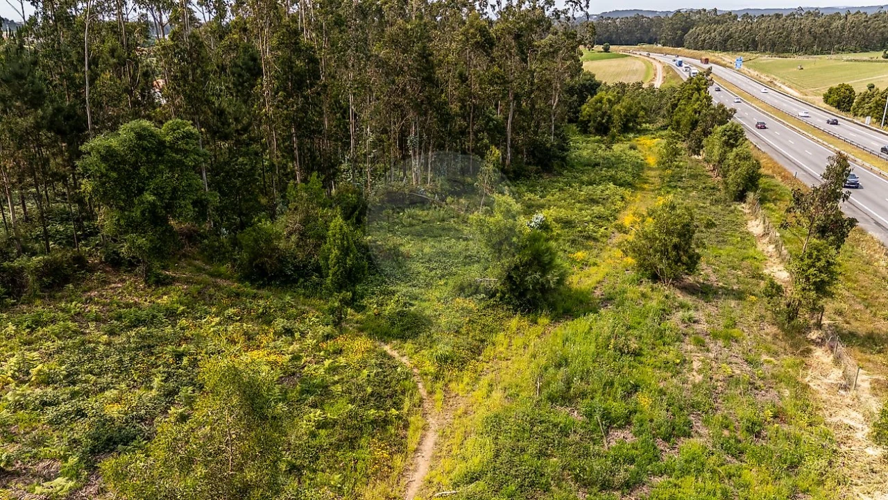 Terreno para Venda em Retorta e Tougues Foto 6