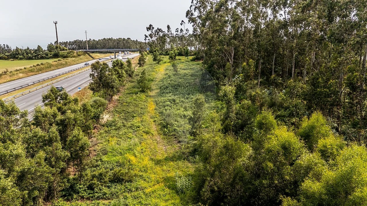 Terreno para Venda em Retorta e Tougues Foto 3