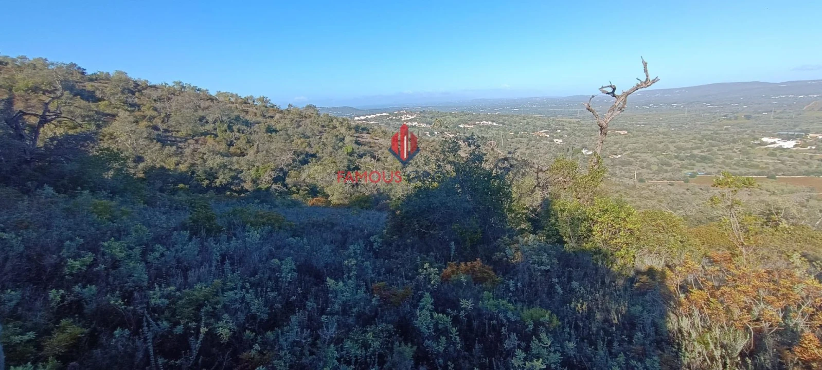 Terreno Agricola ou Rústico para Venda em Paderne Foto 1