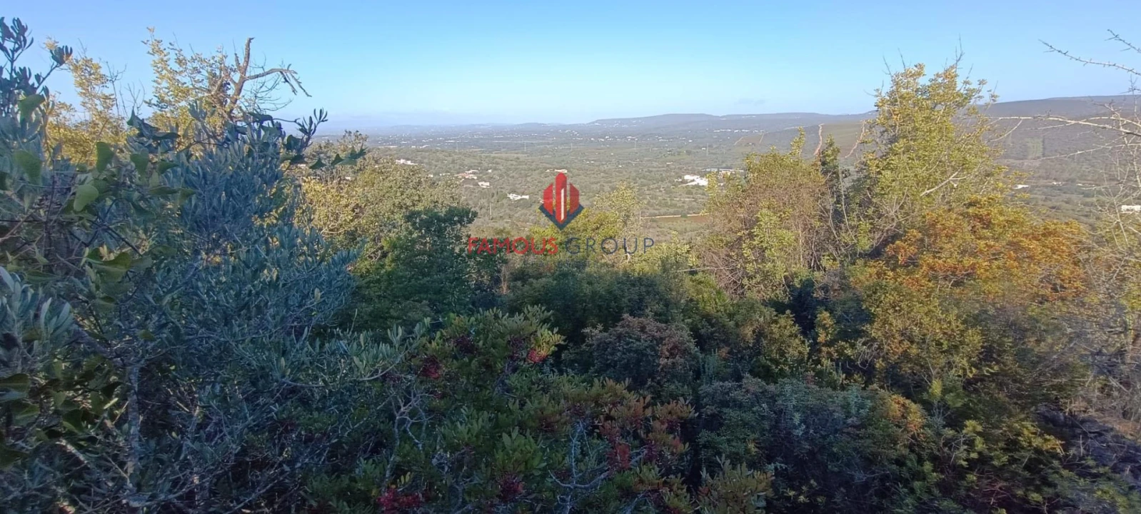 Terreno Agricola ou Rústico para Venda em Paderne Foto 10