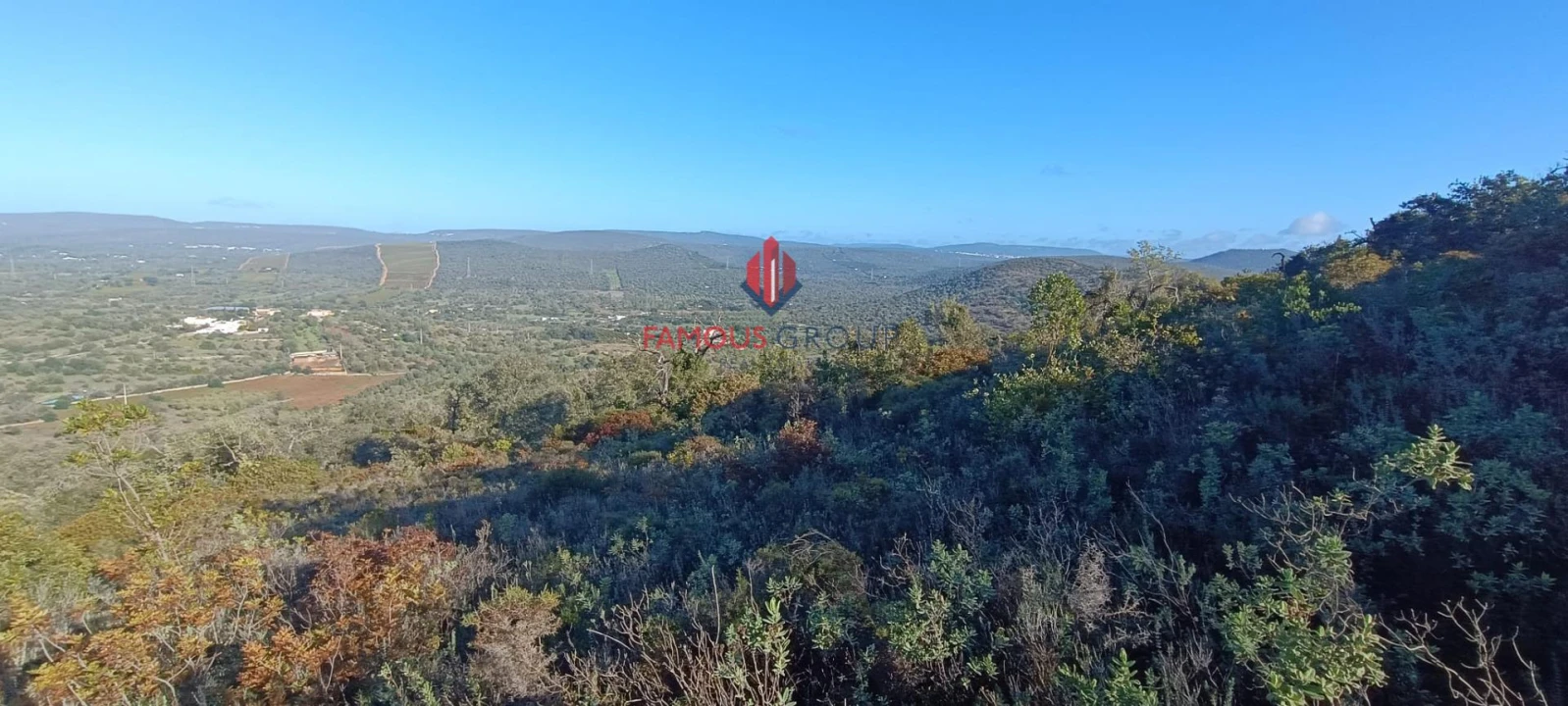 Terreno Agricola ou Rústico para Venda em Paderne Foto 7