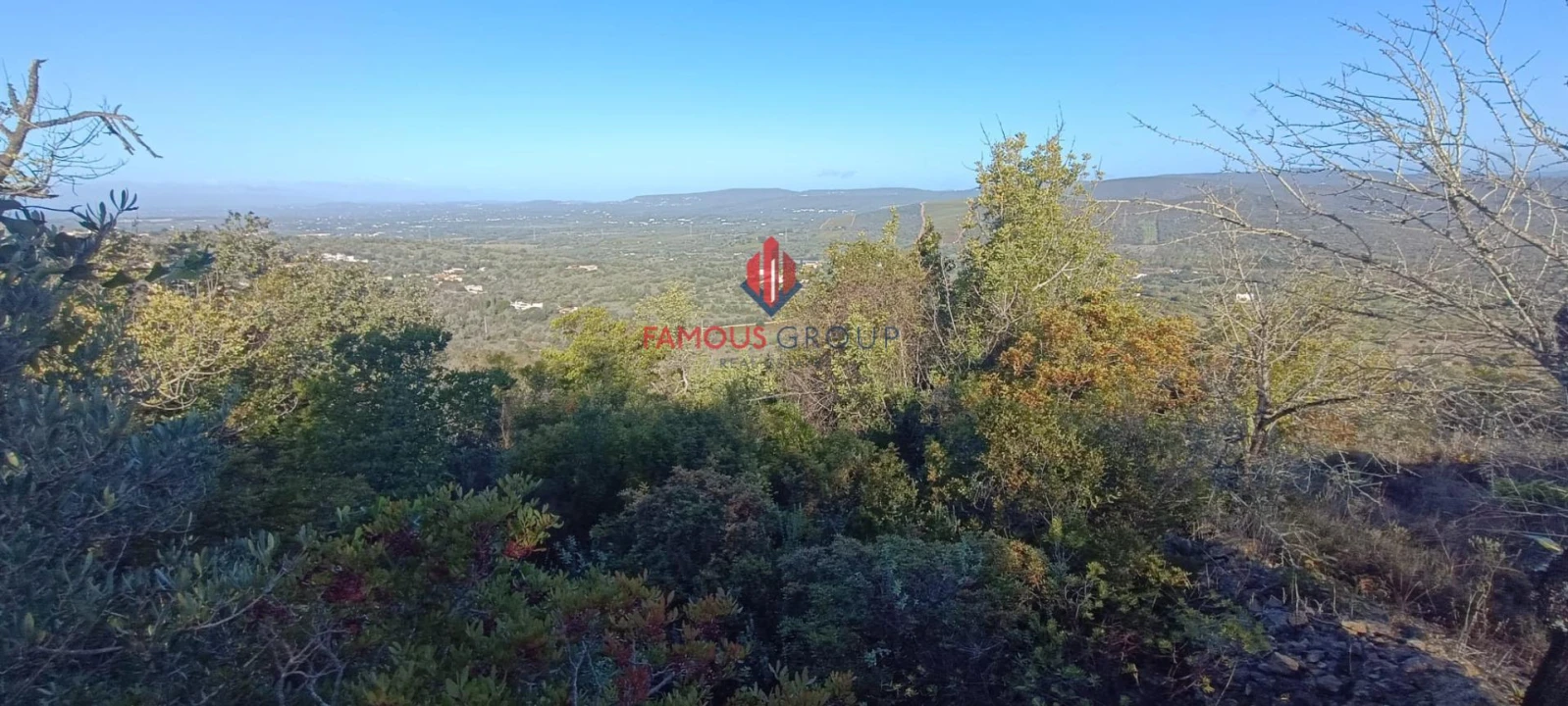 Terreno Agricola ou Rústico para Venda em Paderne Foto 8