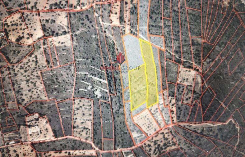 Terreno Agricola ou Rústico para Venda em Paderne Foto 11