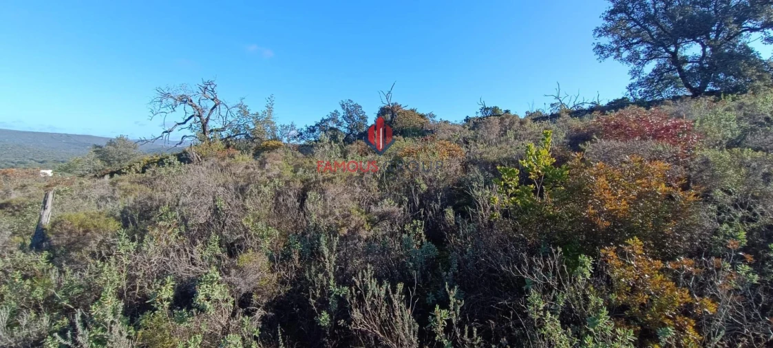 Terreno Agricola ou Rústico para Venda em Paderne Foto 2