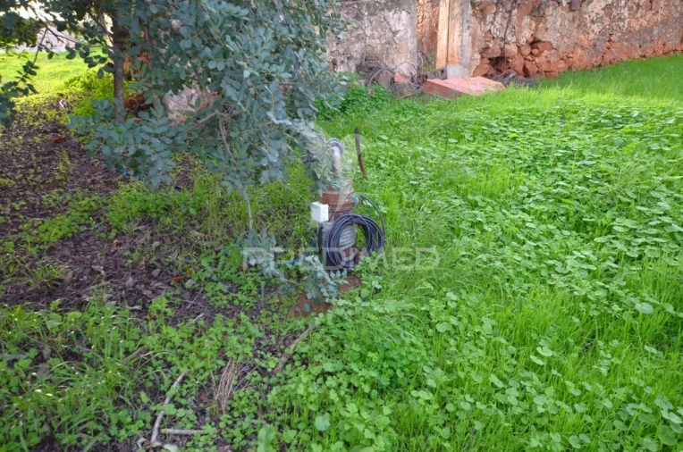 Terreno para Venda em Algoz e Tunes Foto 5