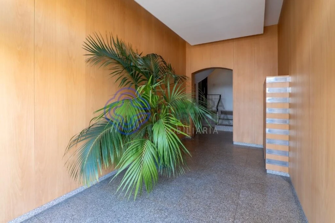 Apartamento T4 para Venda em Paranhos Foto 3