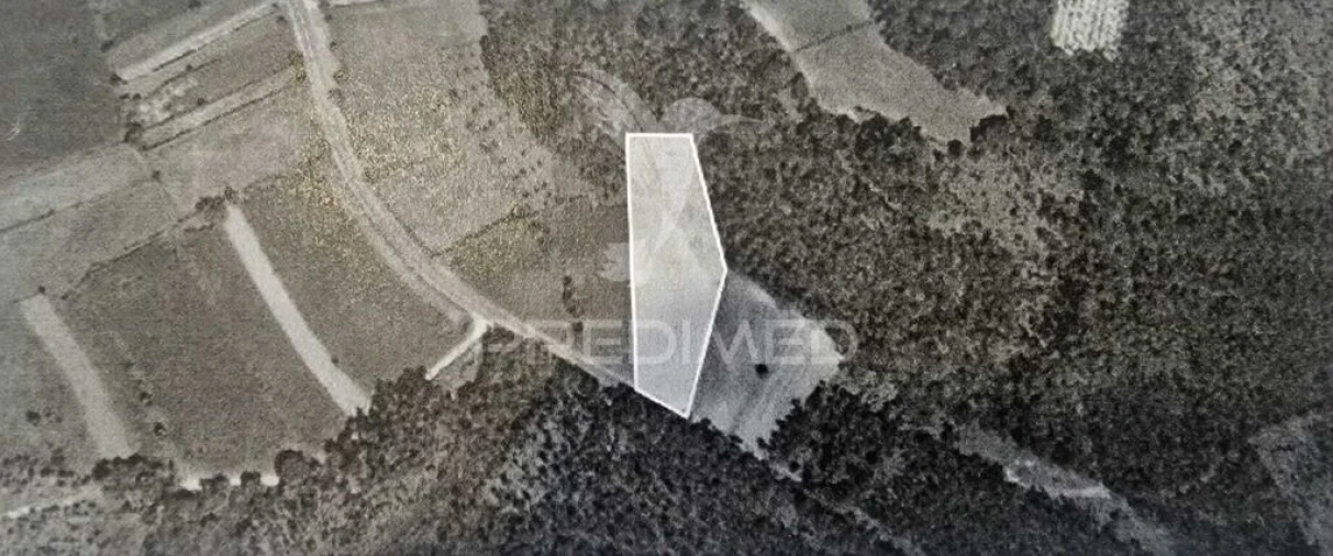 Terreno para Venda em Angeja