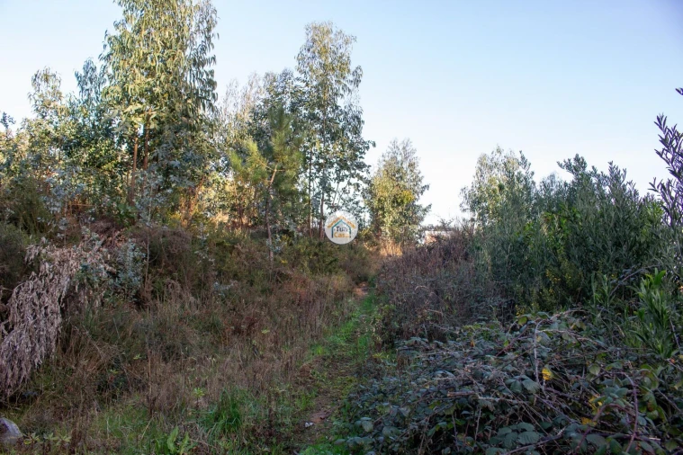 Terreno para Venda em Sandim, Olival, Lever e Crestuma Foto 12