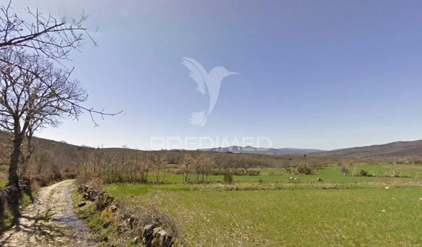 Terreno para Venda em Meixedo e Padornelos
