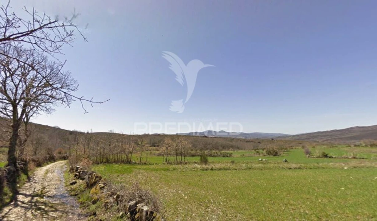 Terreno para Venda em Meixedo e Padornelos Foto 1
