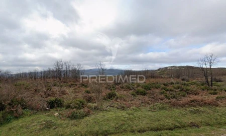 Terreno para Venda em Meixedo e Padornelos