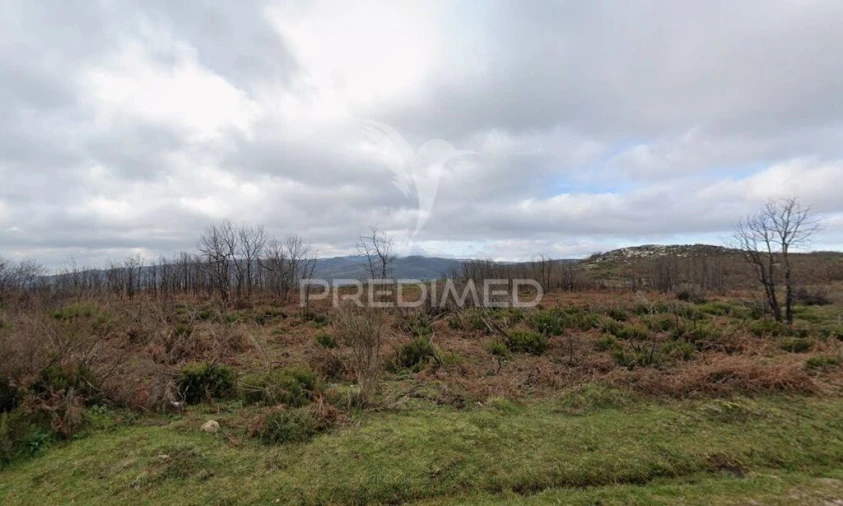 Terreno para Venda em Meixedo e Padornelos