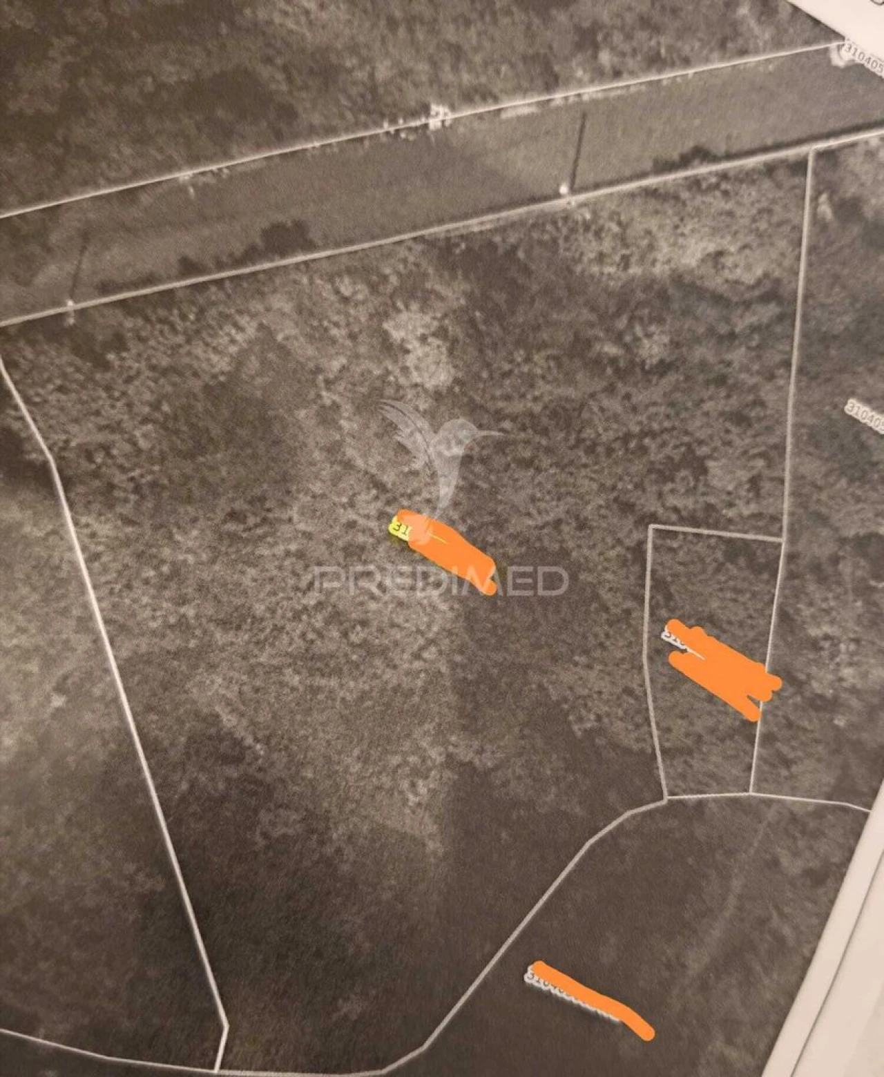 Terreno para Venda em Santo Antonio da Serra Foto 12