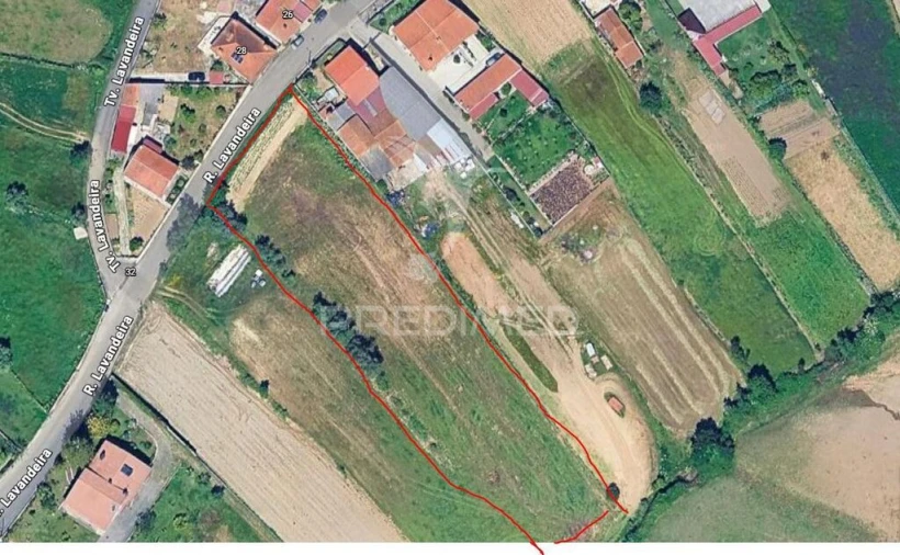 Terreno para Venda em Angeja Foto 1