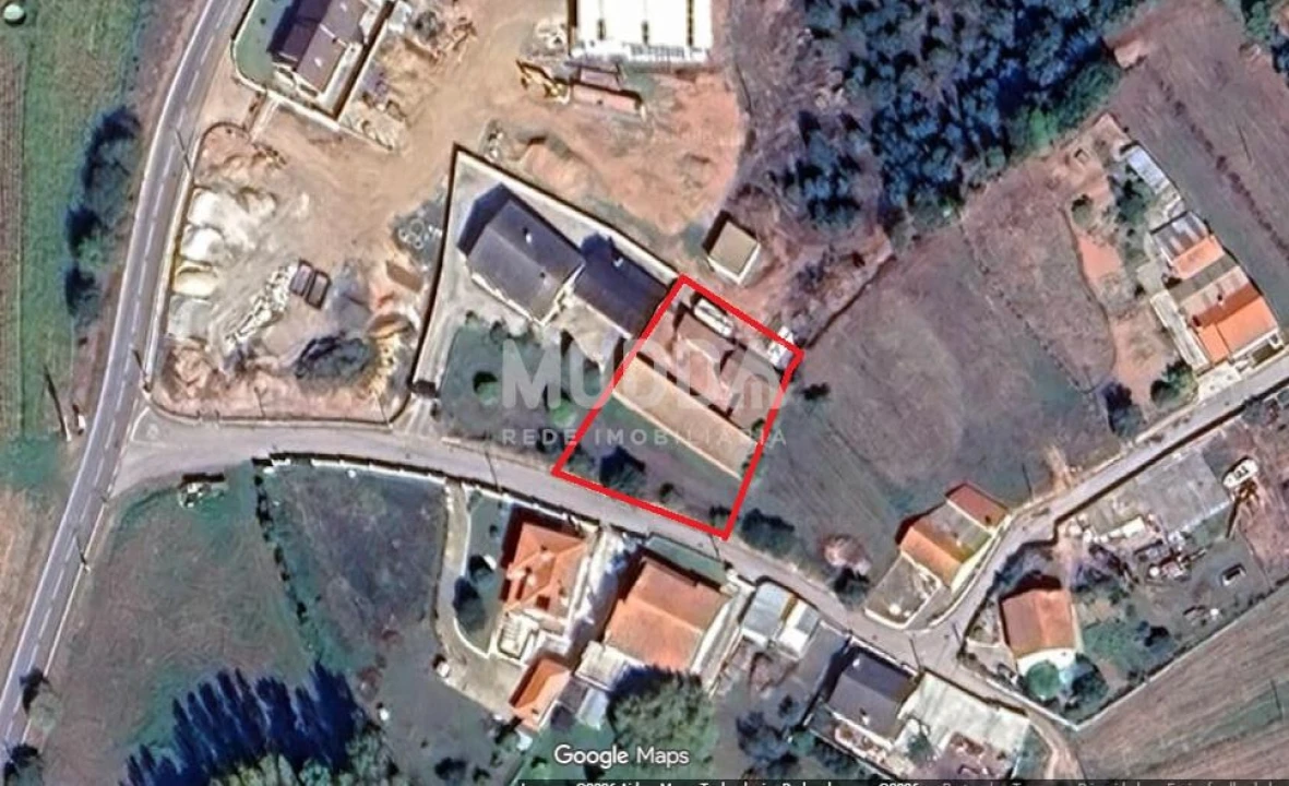 Terreno para Venda em São João de Loure e Frossos Foto 6