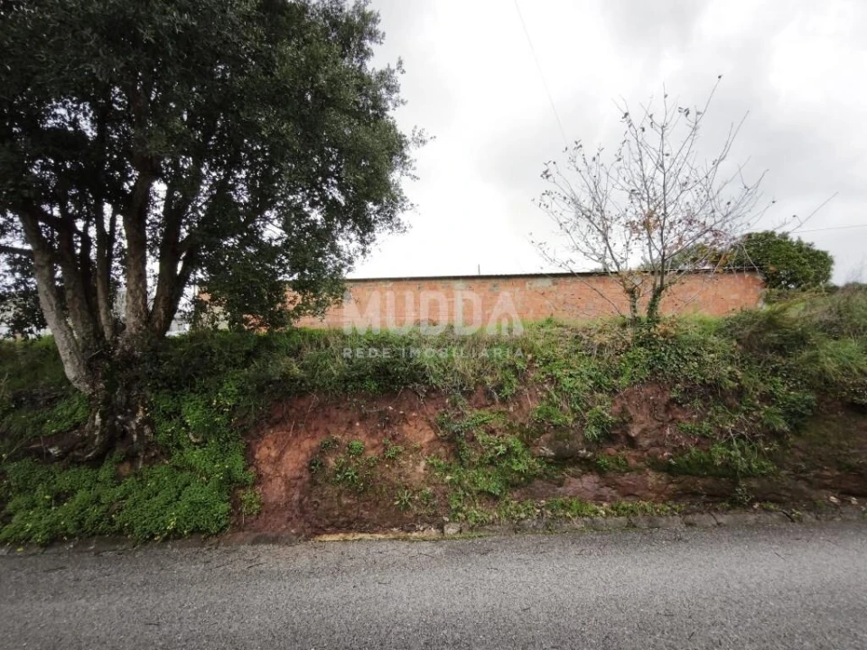 Terreno para Venda em São João de Loure e Frossos Foto 2