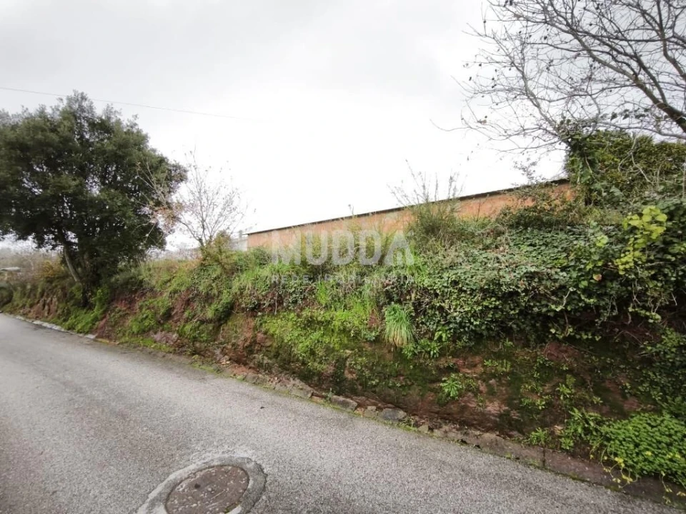 Terreno para Venda em São João de Loure e Frossos Foto 3