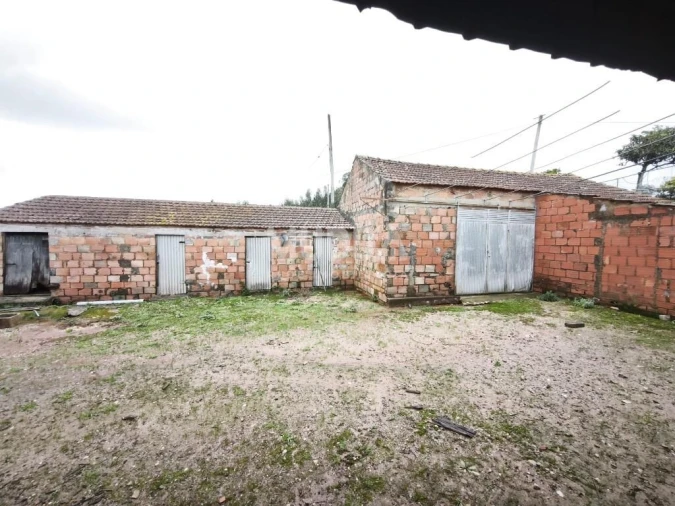 Terreno para Venda em São João de Loure e Frossos Foto 5