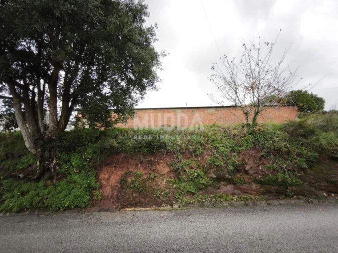 Terreno para Venda em São João de Loure e Frossos Foto 2