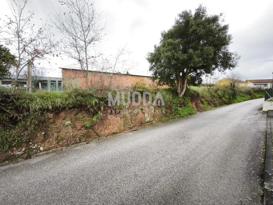 Terreno para Venda em São João de Loure e Frossos Foto 1