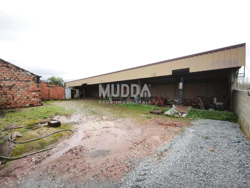 Terreno para Venda em São João de Loure e Frossos Foto 4
