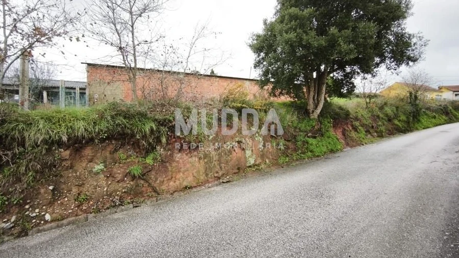 Terreno para Venda em São João de Loure e Frossos
