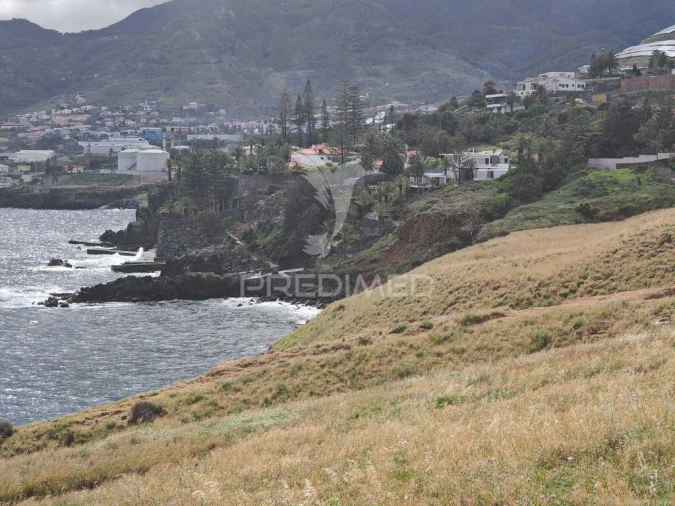 Terreno para Venda em Caniçal Foto 3